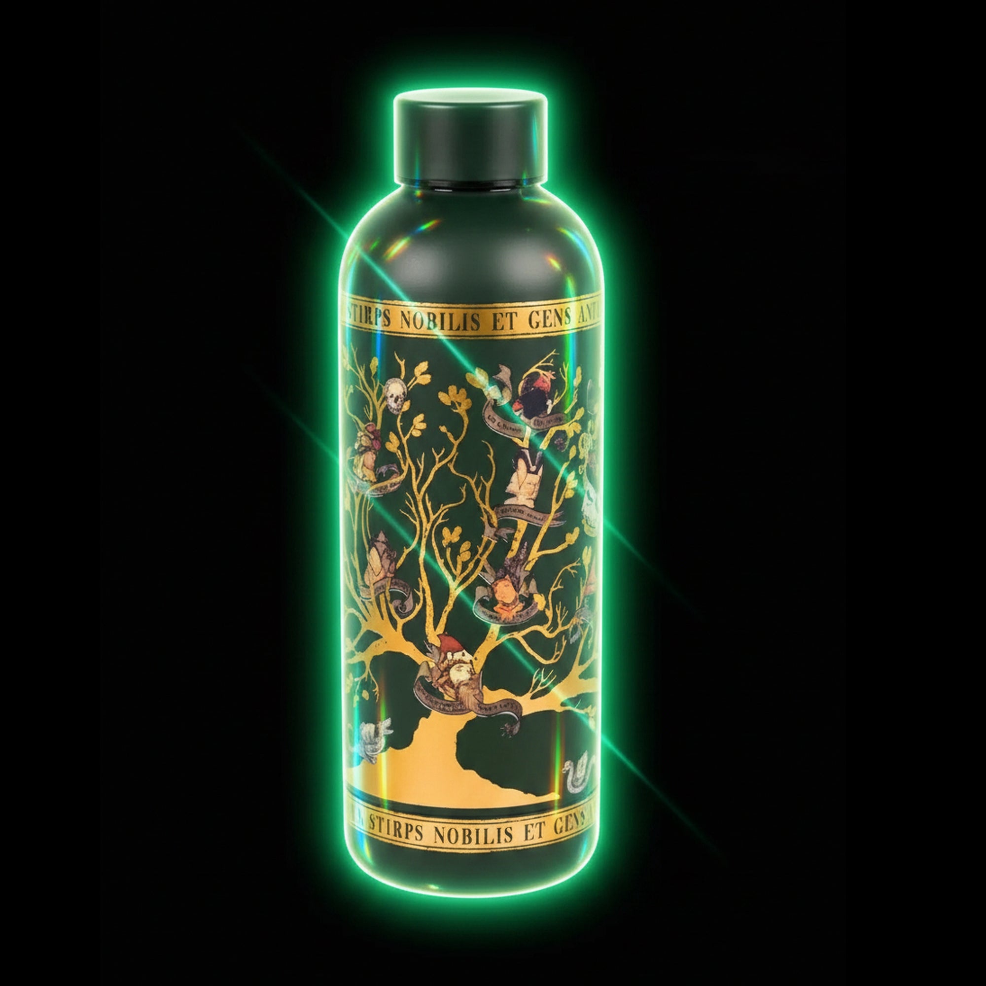 Bouteille Isotherme Famille Black – Harry Potter